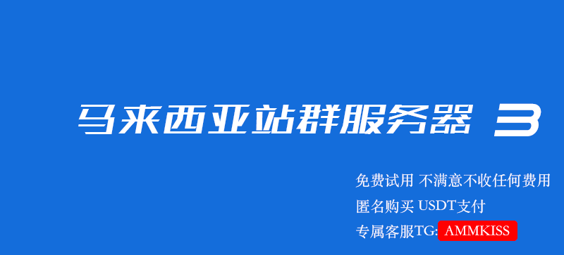 马来西亚站群服务器 3